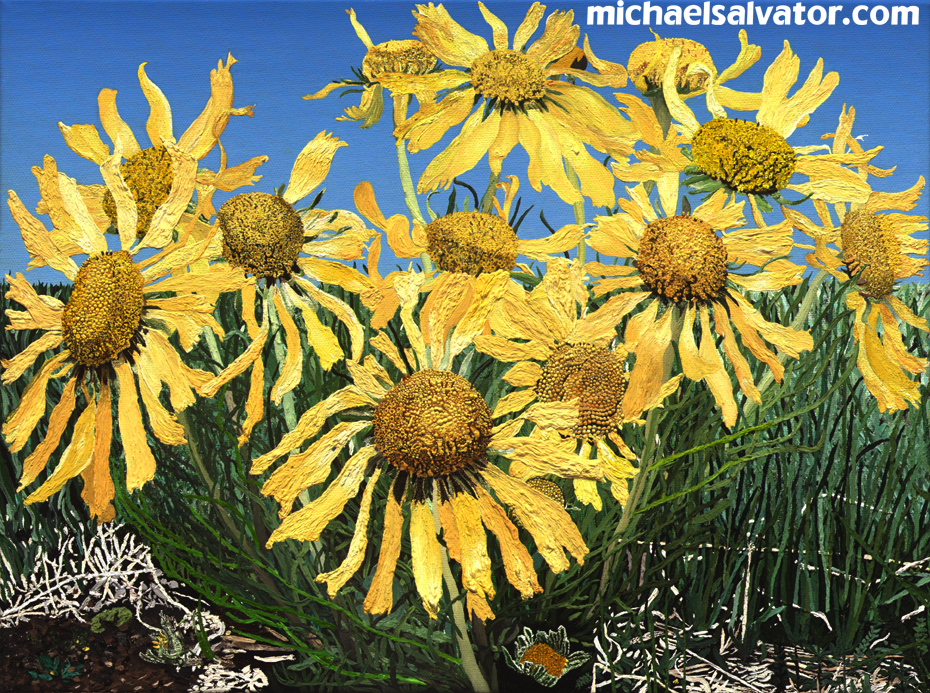 Painting: WILD BUNCH, Alpine Sunflowers, oil on canvas