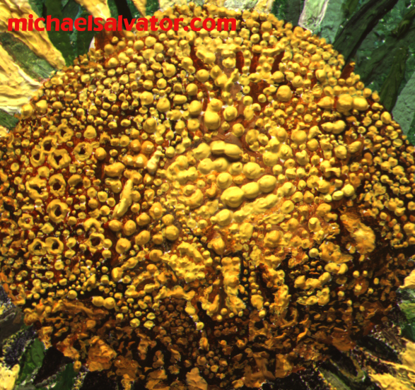 Pintura: Centro Girasol de las Monta&ntilde;as Rocosas Detalle, GRUPO SALVAJE, &oacute;leo sobre lienzo